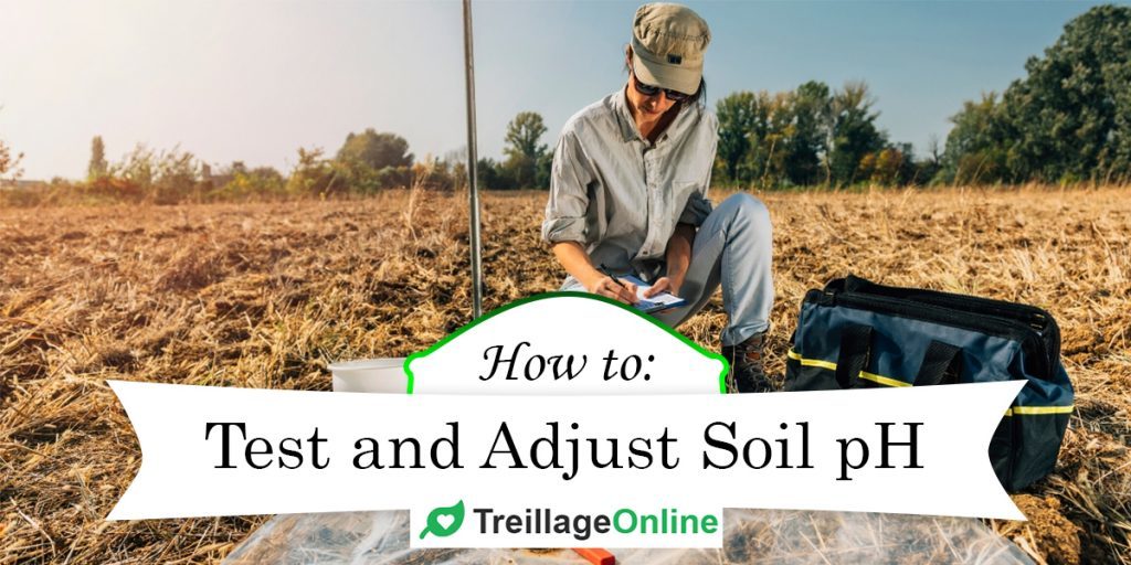 Adjusting soil ph after planting information