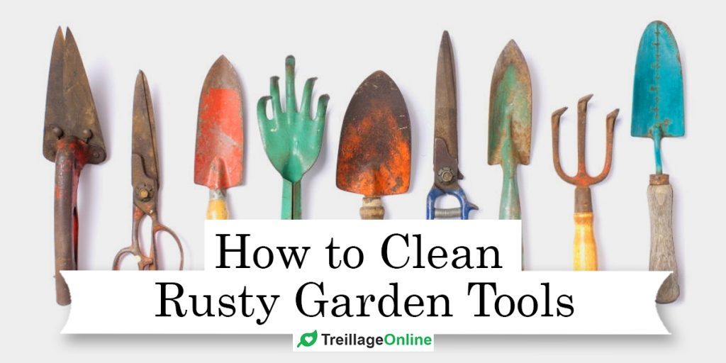 How to Clean Rusty Garden Tools? 6 Simple Methods