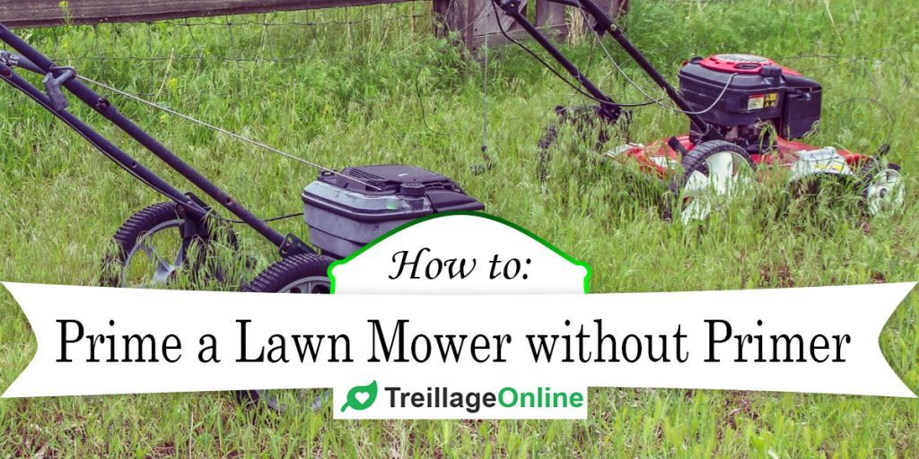 How to Prime a Lawn Mower without Primer? | TreillageOnline.com How To Prime A Lawn Mower Without Primer Bulb