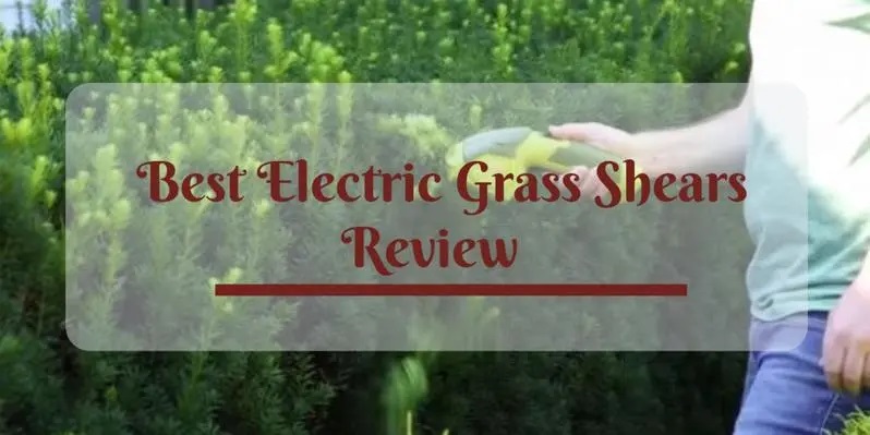 best grass shears 2020